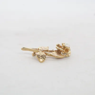 Brooch (Gold) from Aconda Unknown metal