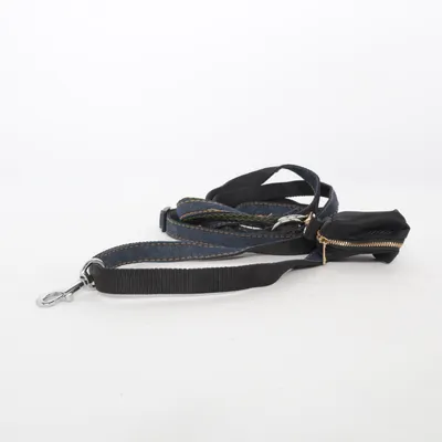 Leash (Blue)