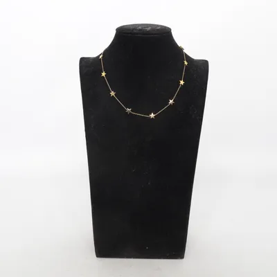 Ketting (Goud) van Edblad Roestvrij staal