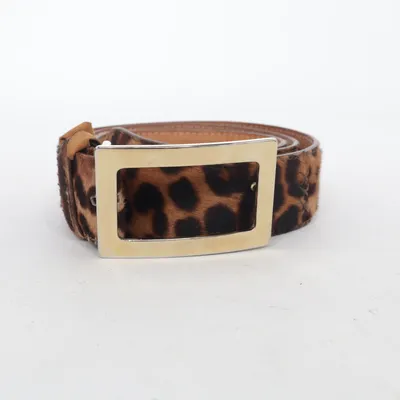 Belt (Brown, Multicolored) from C & C