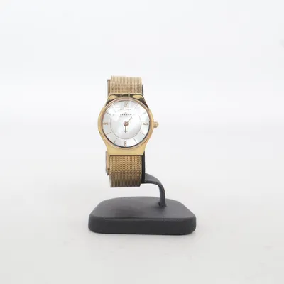 Montre (Or) de Skagen