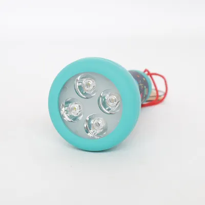 Flashlight (Turquoise, Multicolored) from Moses