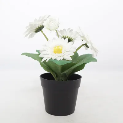 Konstgjord växt (Vit, Grön, Svart) från IKEA