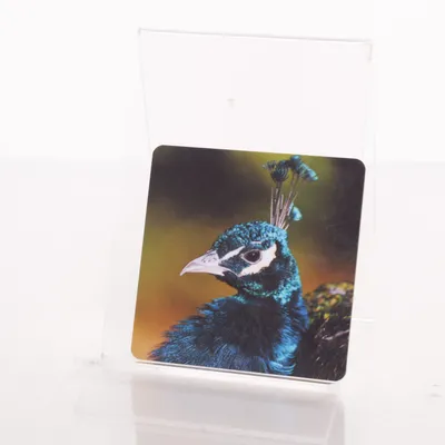 Glasunderlägg (Blå, Flerfärgad) från Skansen