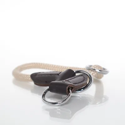 Dog collar (Beige, Brown) from Hunter
