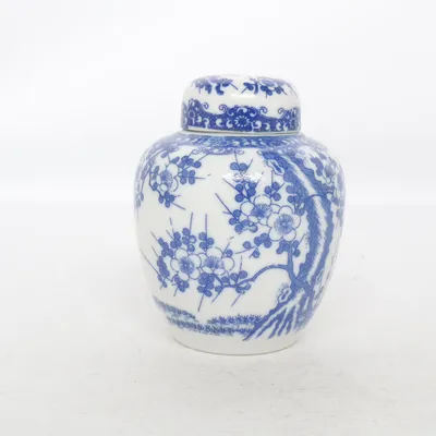 Urne (Blanc, Bleu)
