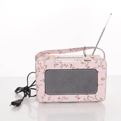 Radio (Pink, Multicolored) from Sangean