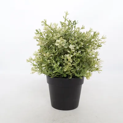 Artificial plant (Black, Green) from IKEA