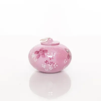 Olielamp (Roze, Meerkleurig)