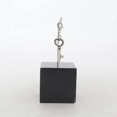 Charme (Argent) Métal inconnu