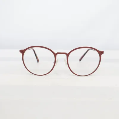 Lunettes (Marron) de Titanium
