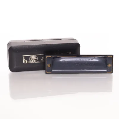 Harmonica (Black) from Hohner