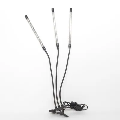 Lumière de caméra (Noir) de Rowis