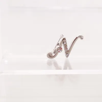 Broche (Zilver) Onbekend materiaal