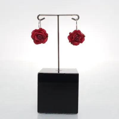 Örhängen (Röd, Silverfärgad) Okänd metall