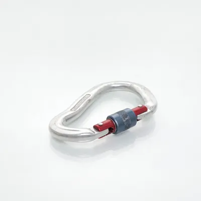 Karabiner (Sølv) fra Mammut