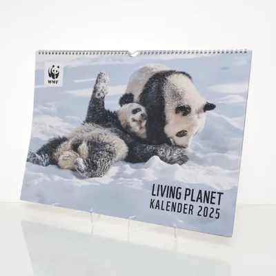 Calendar (Multicolored) from WWF