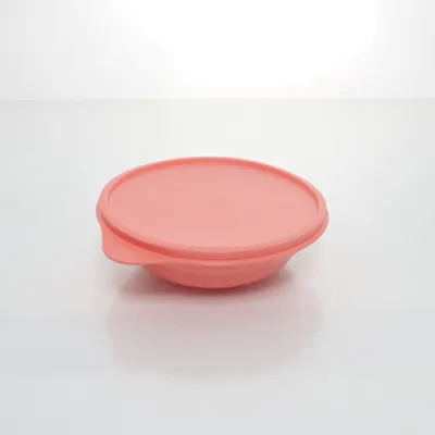 Matlåda (Orange) från Tupperware