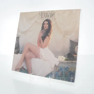 Vinylplade