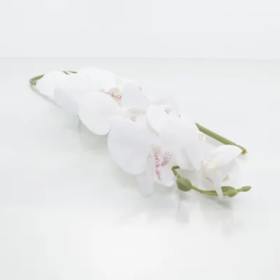 Kunstig plante (Hvid)