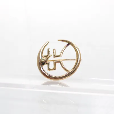 Broche (Guld) Ukendt metal