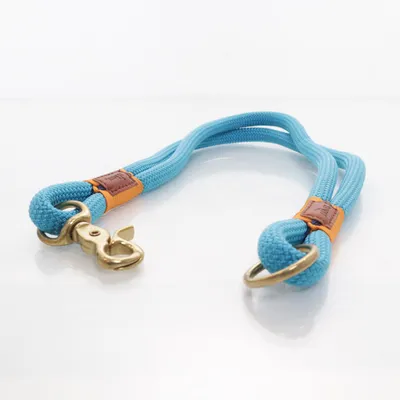 Honden halsband (Blauw) van Hunter