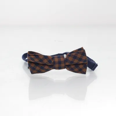 Bow tie (Blue, Brown) from H&M Cotton