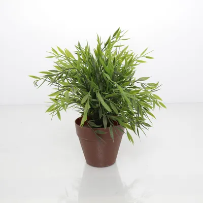 Kunstplant (Bruin, Groen)