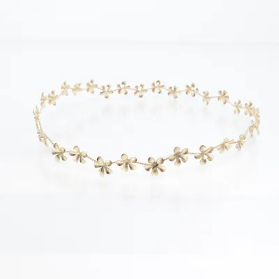 Kostuum accessoires (Goud)