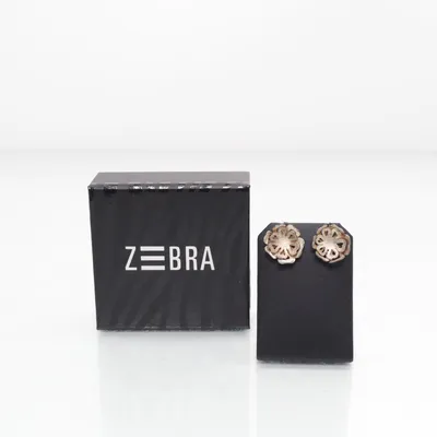 Örhängen (Silverfärgad) från Zebra Okänd metall