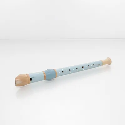Blokfluit (Blauw)