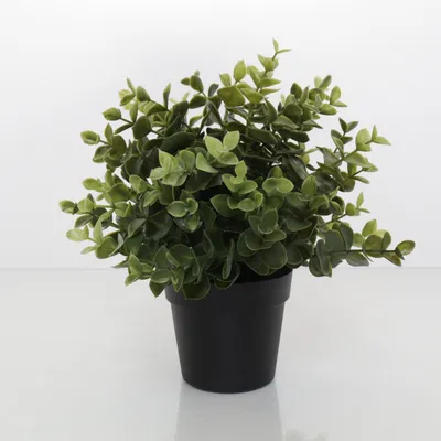 Kunstig plante (Grøn) fra IKEA