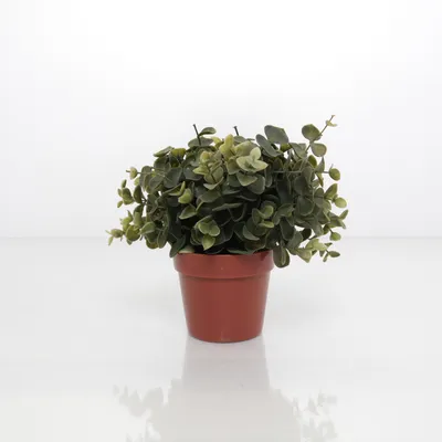Kunstig plante (Brun, Grøn)