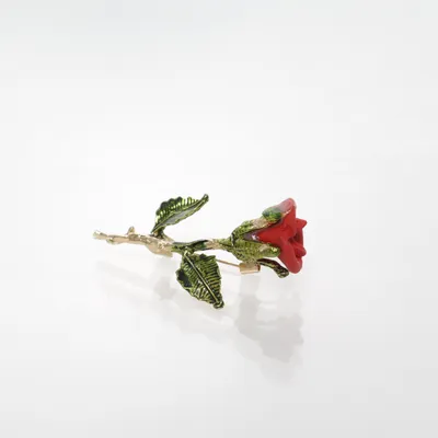 Broche (Groen, Rood) Onbekend materiaal
