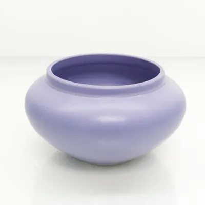 Schaal (Lila)