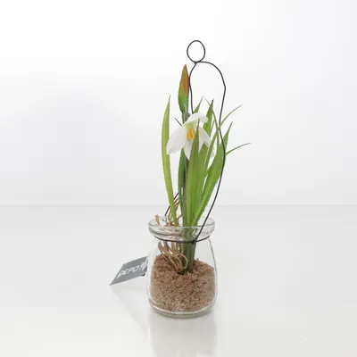 Kunstig plante (Grøn, Flerfarvet) fra Depot