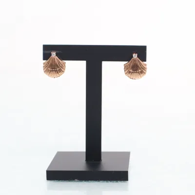 Oorbellen (Goud) Onbekend materiaal