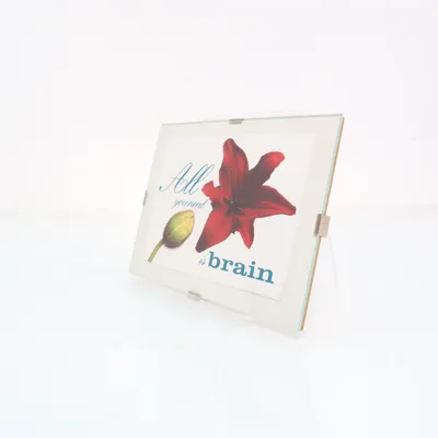 Wall decor (White, Multicolored)