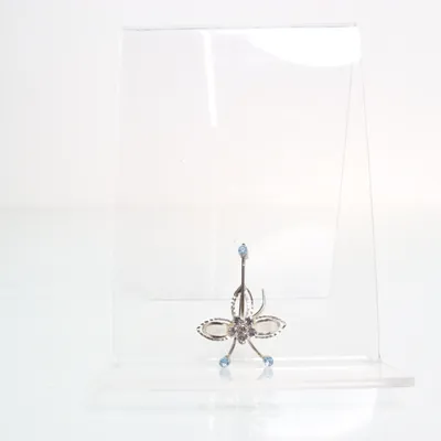 Brooch (Silver, Blue) Unknown metal