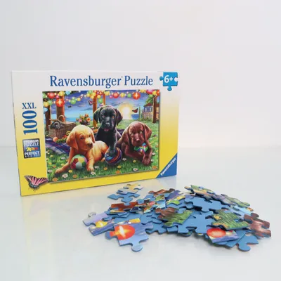 Puzzel van Ravensburger