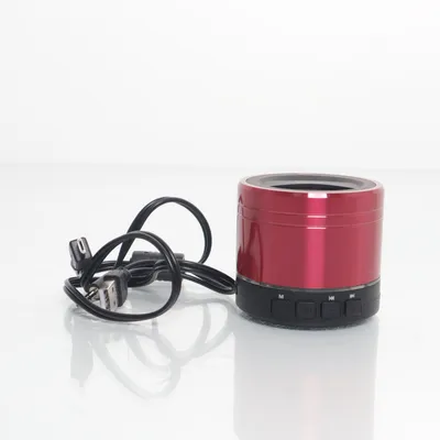 Bluetooth speaker (PPA20BT-PK) from Pelo