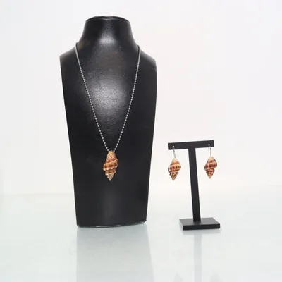 Sieradenset (Meerkleurig, Bruin) Schelpen