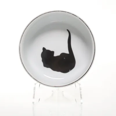 Feeding bowl (White, Black) from Spot