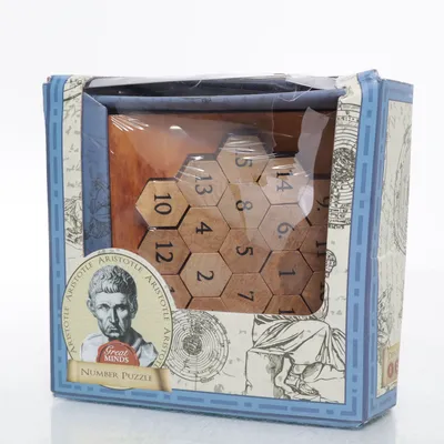 Hjernegymnastik spil (Brun) fra Professor Puzzle