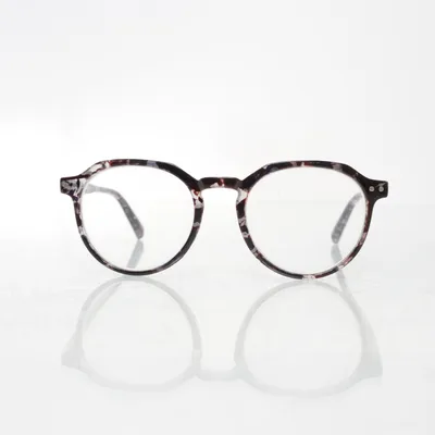 Sunglasses (Brown, Gray) from Lexxoo