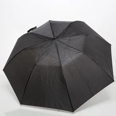 Paraplu (Zwart) van Totes