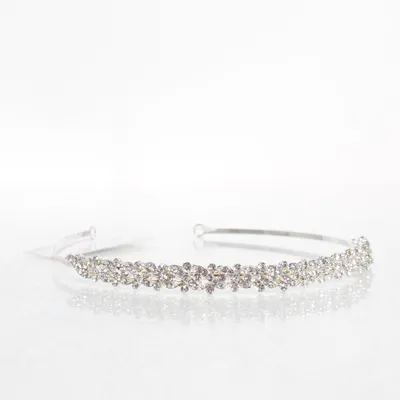 Diadeem (Zilver) van G. Westerleigh