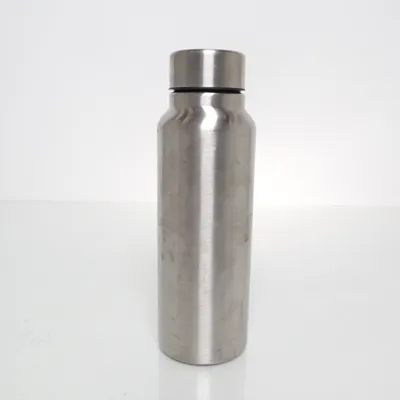 Thermosfles (Zilver) van Tedi