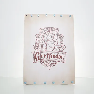 Poster van Wizarding World