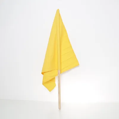 Vlag (Geel)